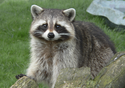 test vendor 2 - product 1